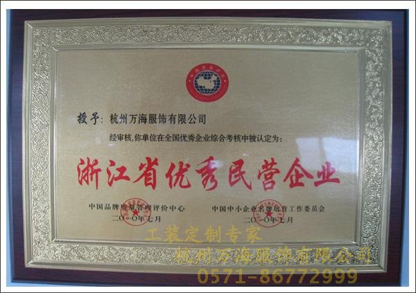 浙江省優(yōu)秀民營企業(yè)